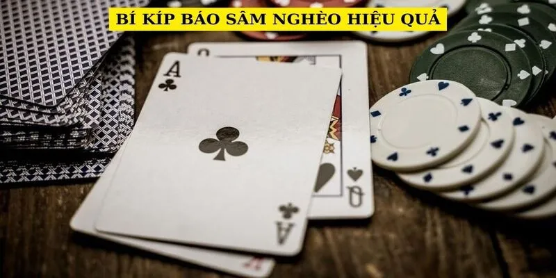 bi-kip-bao-sam-ngheo-hieu-qua