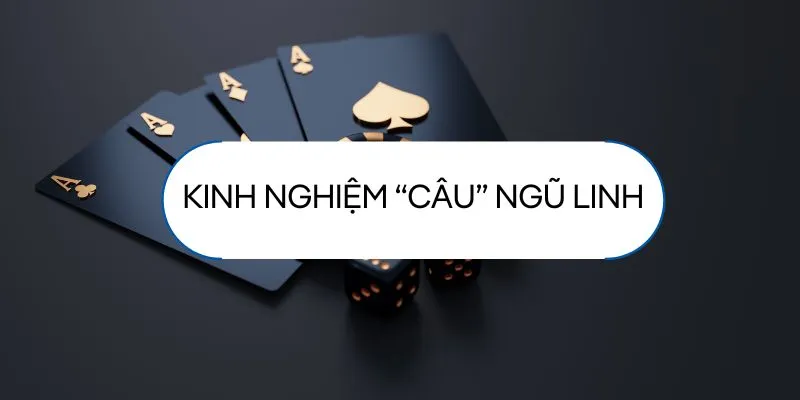 kinh-nghiem-cau-ngu-linh