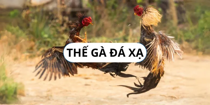 the-ga-da-xa