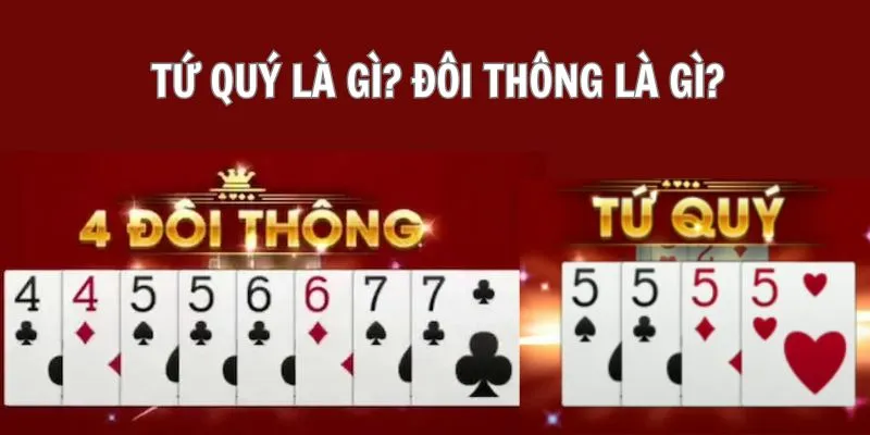 tu-quy-la-gi-doi-thong-la-gi