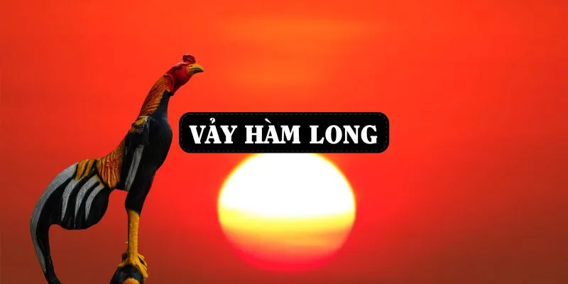 vay-ham-long