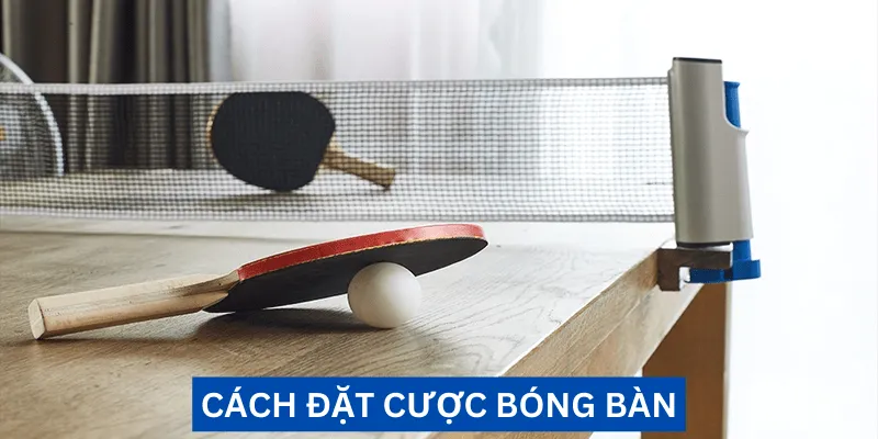 cach-dat-cuoc-bong-ban