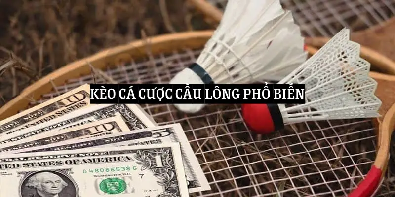 keo-ca-cuoc-cau-long-pho-bien-voi-hi88